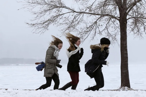 Синоптики предупредили о низкой ощущаемой температуре в Воронеже и области