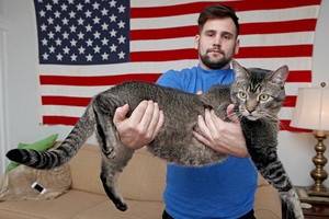 Котозавр, или кот метровой длины поселился в американской семье