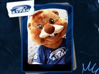 На берегах Невы сложили клюшки