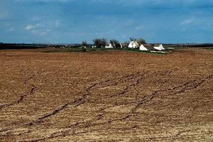 Из-за экстремальной засухи в Воронежской области объявлен режим ЧС в сельском хозяйстве