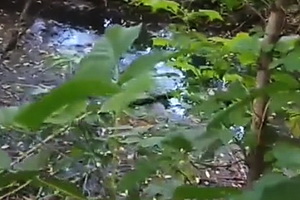 Новое достижение воронежской экологии – фекальный пруд