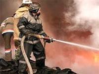 Пожарные пытаются закрыть воронежские увеселительные заведения