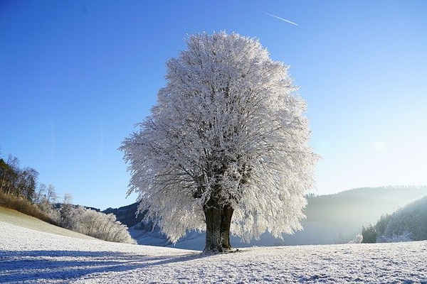 9 Зима Фото