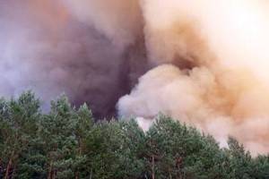 В Бобровском районе горит лес на десяти гектарах