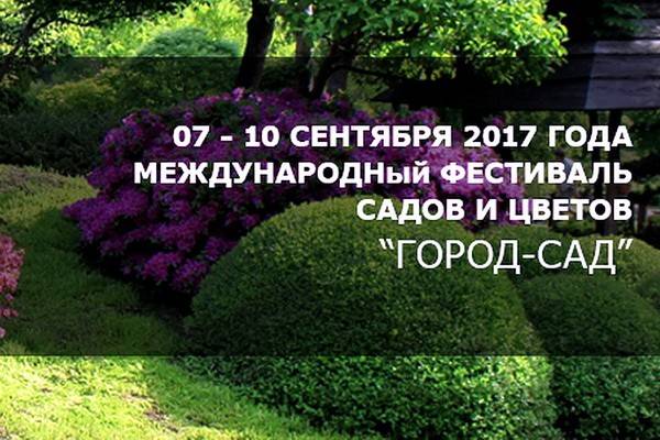 Въезд на парковку Воронежского центрального парка будет запрещён в течение недели
