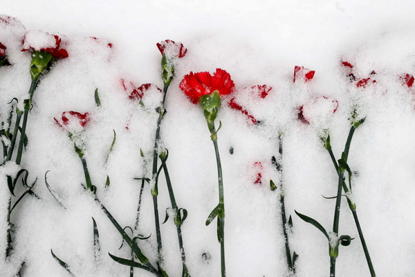 Лучшие фото недели 22-29 января 2022 в мировых СМИ