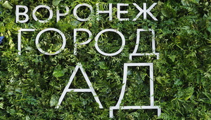 Воронеж ожидает бурный «фестивальный» сентябрь, какова вероятность, что всё намеченное состоится?