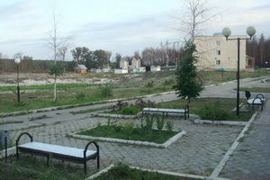 Турбазу «Колос» под Воронежем планируют преобразовать в объект спортивно-рекреационного назначения
