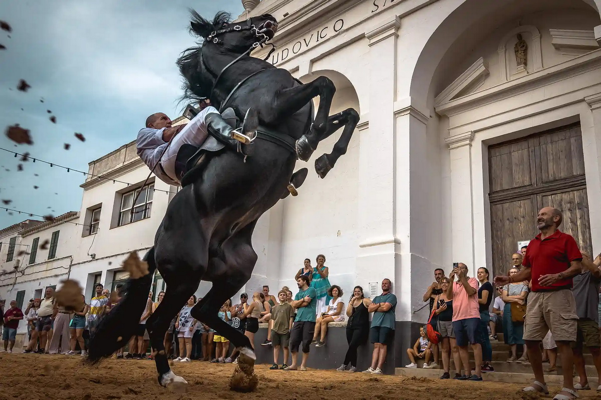 The horse rider картина автор