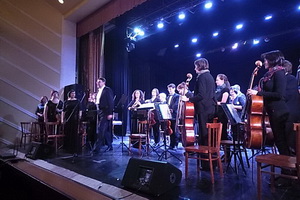 Воронежский академический симфонический оркестр собрал в Лисках 400 человек
