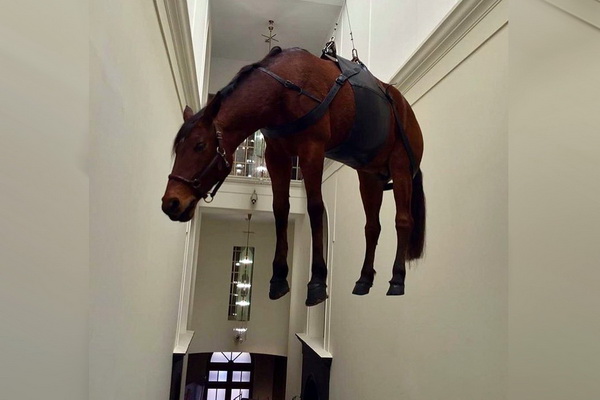 Подвешенная в Пушкинском музее лошадь вызвала массовое возмущение