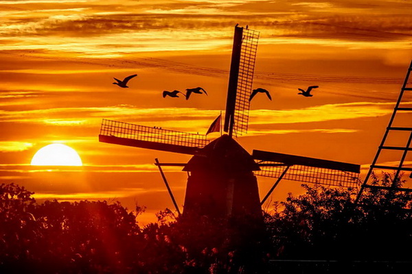 Лучшие фото недели 12-19 августа 2023 в мировых СМИ