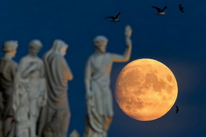 Лучшие фото недели 27 июня – 4 июля 2026 в мировых СМИ