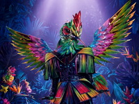 Стало известно, кого рассекретили в шестом выпуске седьмого сезона шоу «Маска» 15 марта