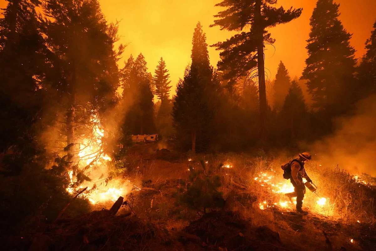 2015 Год. Пожары в Калифорнии
