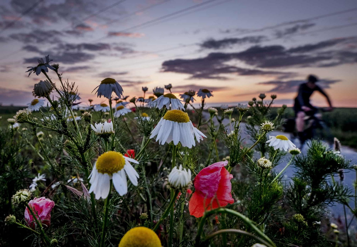 Фото дня сегодня лучшее