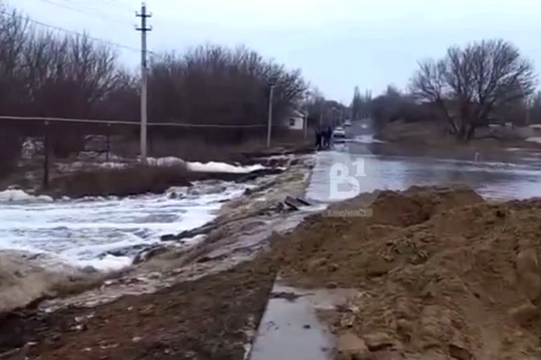 Село на юге Воронежской области затопило жидким навозом