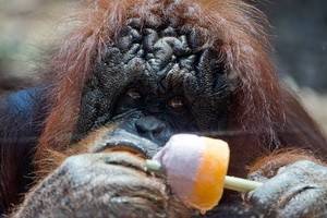 Лучшие фото недели 29 июня – 5 июля в мировых СМИ