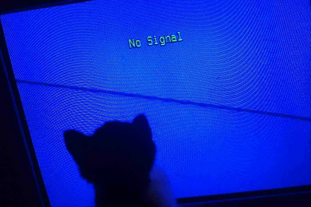 На экране телевизора надпись нет сигнала. Синий экран телевизора. Экран нет сигнала. Голубой экран телевизора. No Signal на мониторе.