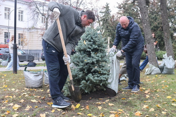 Мэр Сергей Петрин посадил деревья в сквере в центре Воронежа