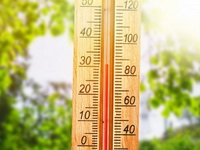 Впервые в этом году в Воронеже жара перевалила за тридцать