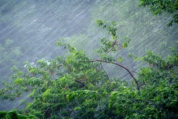 В Воронежской области в воскресенье ожидаются дожди, грозы, град и сильный ветер