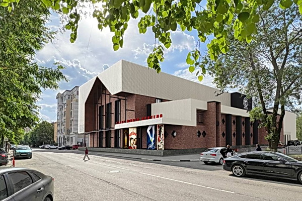 Департамент культуры решил обновить здание Воронежского театра юного зрителя