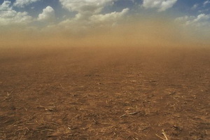 В Ростовской области объявлен режим повышенной готовности из-за почвенной засухи