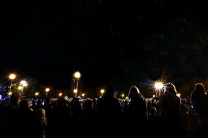 Стали известны формат и масштаб празднования Дня Победы в Воронеже и области