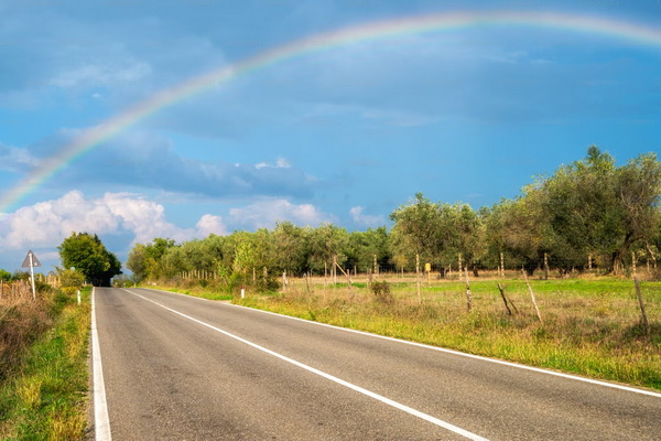 Основные осадки минуют Воронеж, а жара – нет