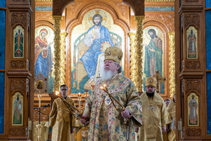 Храмы Воронежской митрополии в период локдауна продолжат работать