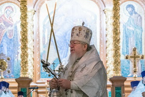 Митрополит Воронежский и Лискинский Сергий совершил чин Великого водоосвящения