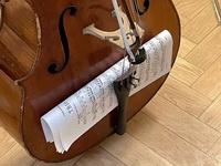 В Воронеже отменили концерт сербского виртуоза скрипки, но сделана замена