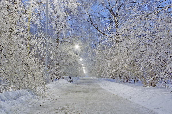 Воронежу обещают снежные выходные, туман и гололёд – объявлен жёлтый уровень опасности