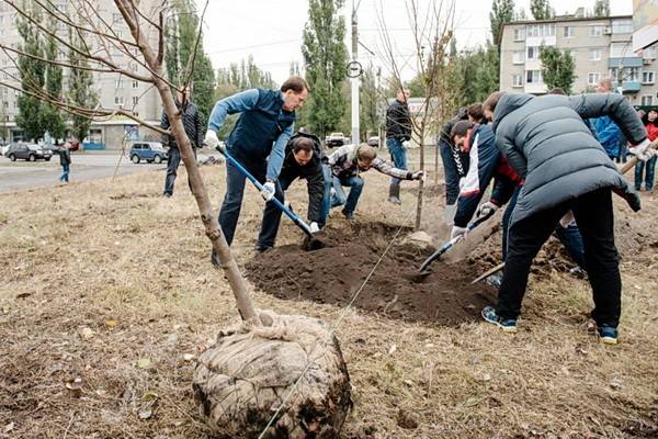 Воронежские субботники как действенное средство воспитания экологической и бытовой культуры