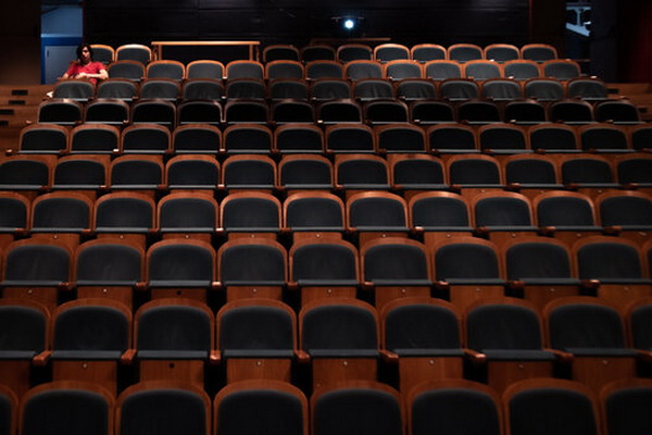 Гусев согласовал увеличение заполняемости воронежских театров