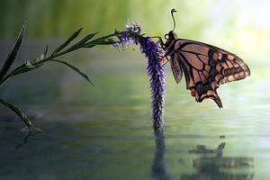 Фотограф  из Воронежа Вадим Трунов становится популярным на Западе