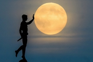 Лучшие фотографии недели 1-8 ноября 2025 в мировых СМИ