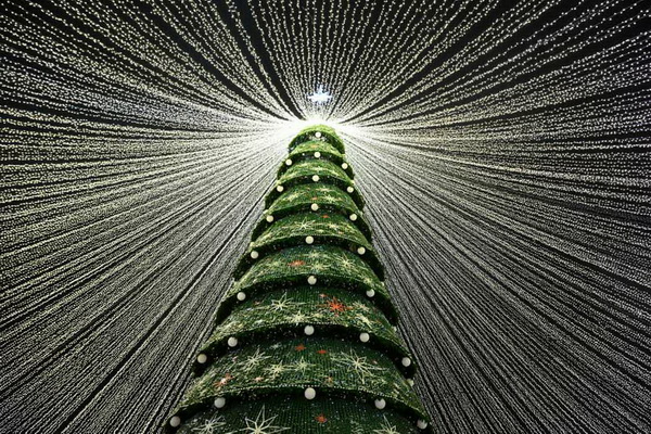 Лучшие фото недели 20-27 декабря 2025 в мировых СМИ