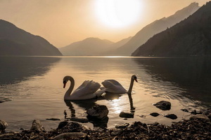 Лучшие фотографии недели 7-14 марта 2026 в мировых СМИ