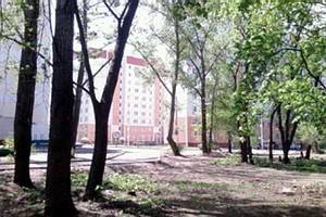 В Воронеже появятся сквер «Совенок», аллея Оптимистов, парк «Академический»