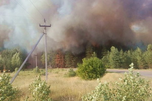 В Воронежской области лесной пожар едва не уничтожил популярный санаторий
